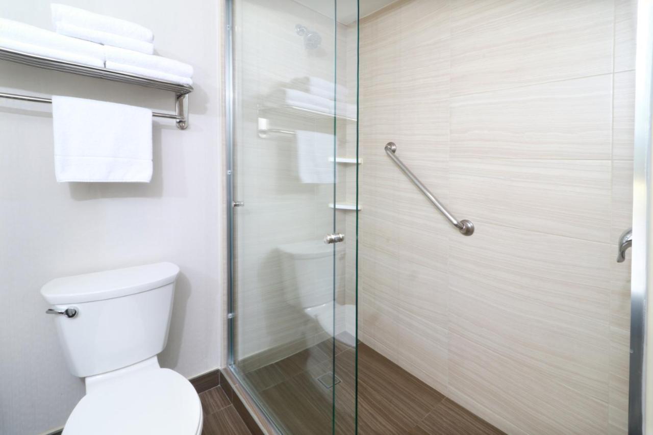 Standard Double Room with Two Double Beds